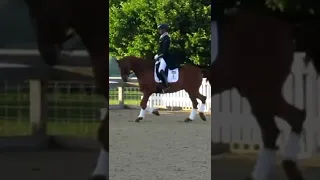 Amazing position from Carl Hester