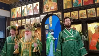 РПЦЗ Богослужение на Троицу 2018