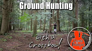 Ground Hunting Strategies for CROSSBOW HUNTERS!