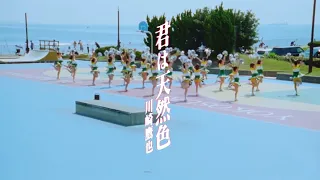 川崎鷹也「君は天然色」【Official Music Video】(松本隆トリビュートアルバムより)