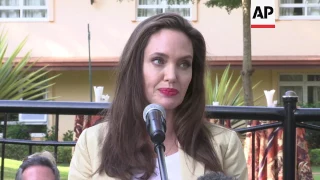 Envoy Angelina Jolie urges better treatment of refugees