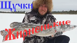 АДРЕНАЛИН Бьет в висок !! Счастливый момент рыбалки!!!... #shorts