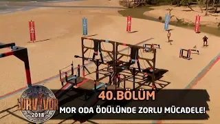 Mor oda ödülünde zorlu mücadele!  | 40.Bölüm | Survivor 2018