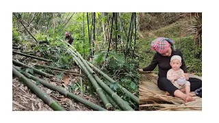 18 year old single mother and her son went to get bamboo to build a chicken coop#dailylife