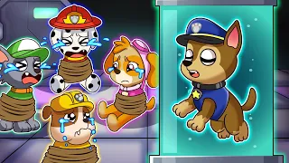 OMG ! Chase is Locked From The Lab. What happened ? Sad Story -Paw Patrol Ultimate Rescue | Rainbow