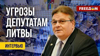 ❗️❗️ Литовские депутаты получили письма с УГРОЗАМИ! Комментарий экс-министра иностранных дел Литвы