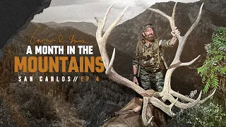 San Carlos Elk Dreams at Dusk : ep 4 : A Month in the Mountains