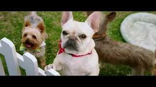 DOG DAYS  Official Trailer