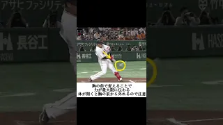 【巨人】岡本和真選手のバッティングフォーム【重心の低さが安定性に繋がる】