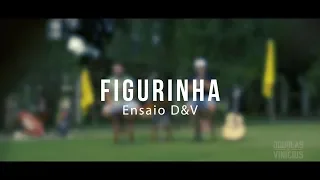 Douglas e Vinicius - Guias DVD 2019 - Figurinha
