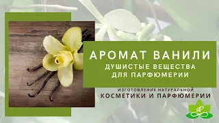 ДУШИСТЫЕ ВЕЩЕСТВА с ароматом ванили. Парфюмерия - ароматы ванили. Ванилин натуральный и этилванилин