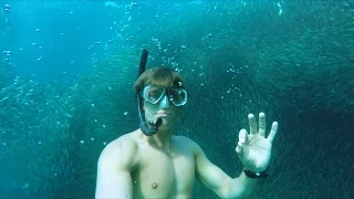 GoPro Awards: Swimming with a School of Silver Fish
