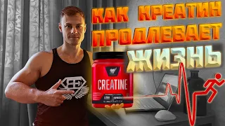 Как КРЕАТИН продлевает жизнь!?