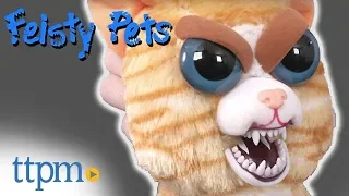 Fiesty Pets: Sweet to Scary Stuffed Animals - Unicorn, Dog, Kitty, Bear | Jazwares