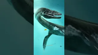 O Monstro Marinho que fazia o MEGALODON morrer de MEDO! 😱🦈