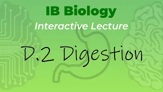 IB Biology D.2 - Digestion - Interactive Lecture