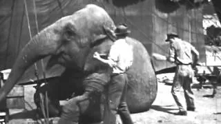 Circus Animals (1947)