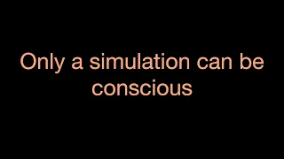 Only a simulation can be conscious - @SimulationSeries