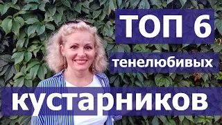 ТЕНЕЛЮБИВЫЕ КУСТАРНИКИ. Что посадить в тени. Какие кустарники сажать в тенистых местах