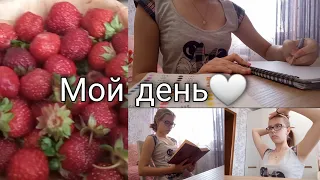 МОЙ ЛЕТНИЙ ДЕНЬ | Продуктивность | Сева