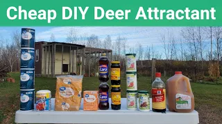 Cheap DIY Deer Attractant - same day results