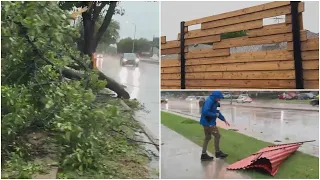 Casas destruidas y árboles caídos: así luce Plano tras el paso de fuertes tormentas