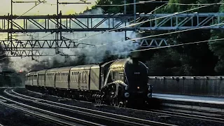 Steam Locomotives At Speed #3