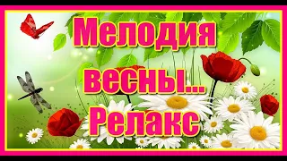 Мелодия весны... Релакс... Красивая музыка Сергея Чекалина. Послушайте!