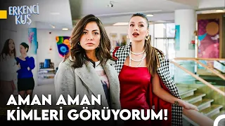 Sanem'in Aşkı Bulma Yolculuğu #108 - Erkenci Kuş