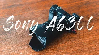 Sony A6300 vs Sony A6000