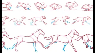 Drawing Mammal Gaits: Walk and Trot