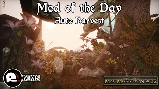 Morrowind Mod of the Day - Auto Harvest Showcase