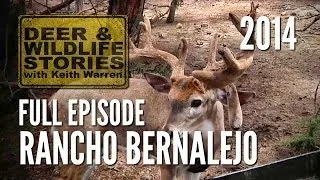 Rancho Bernalejo - Wildlife Conservation Down Mexico Way | Deer Farming