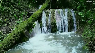 Peaceful waterfall sounds, birds sounds-forest sounds, nature sounds for sleeping, meditation, focus