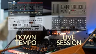 LIVE Session #7 | Down Tempo | Microcosm / Quadraverb / Midiverb II / TR8S / SH01A / JU06A / JD990