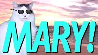 HAPPY BIRTHDAY MARY! - EPIC CAT Happy Birthday Song