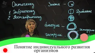 Понятие индивидуального развития организмов. 7 класс.