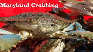 Maryland Crabbing