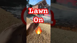 Should you burn your BERMUDA GRASS LAWN?