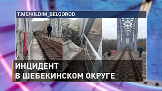 Инцидент в Шебекинском округе