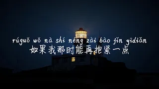 【蓝-石白其】LAN-SHI BAI QI /TIKTOK,抖音,틱톡/병음가사,拼音歌词, pinyin lyrics/광고 없음, No AD,无广告