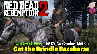 Get the Thoroughbred Brindle Racehorse Twin Stack Pass Method  - Red Dead Redemption 2
