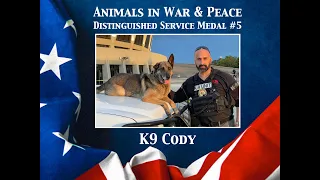 K9 Cody - Animals in War & Peace Distinguished Service Medal #5