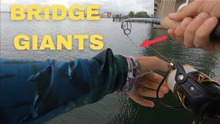 Fishing with HUGE Baits for Bridge Monsters *Unexpected Catch*