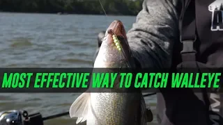 The Most EFFECTIVE Way To Catch WALLEYE. (EASY How To!!)