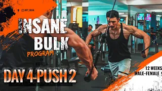 INSANE BULK "DAY 4- PUSH- 2"- 12 weeks Muscle Building Program [FREE] Designed By Jeet Selal