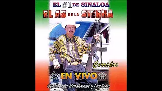 el as de la sierra puros corridos en vivo con banda y norteño