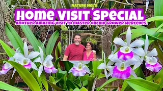 Master orchid grower Mercedes welcomes us back to her beautiful garden of orchids.