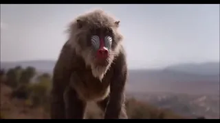 The Jungle Book (2016) and The Lion King (2019) Crossover