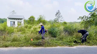 CLEAN UP The Abandoned House In The Poor Countryside With Overgrown Grass And Lots Of Bushes.